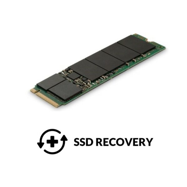 Data Recovery NVME 500-512 GB